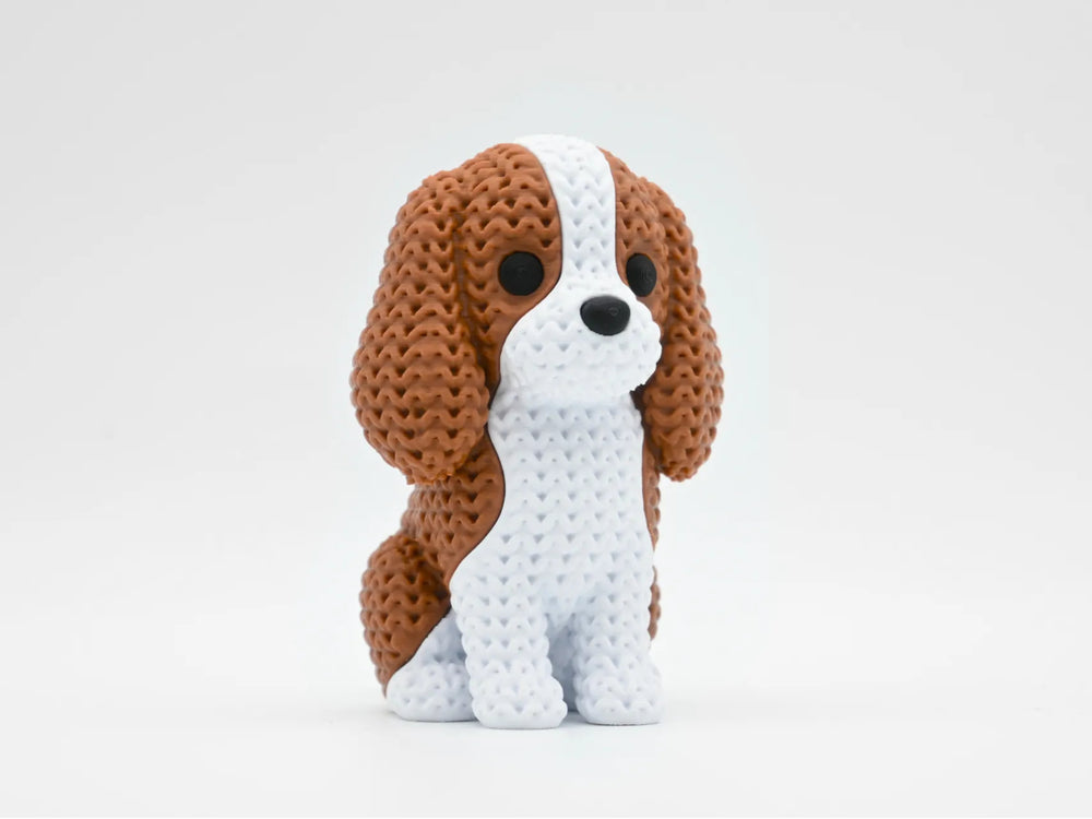 GESTRICKTER CAVALIER KING CHARLES SPANIEL HUND