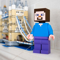 MINECRAFT STEVE