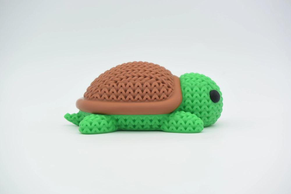 GESTRICKTE SCHILDKRÖTE