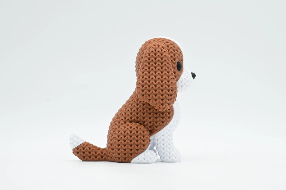 GESTRICKTER CAVALIER KING CHARLES SPANIEL HUND
