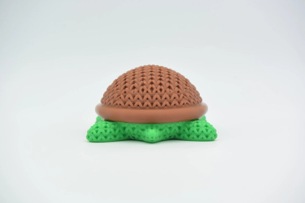 GESTRICKTE SCHILDKRÖTE