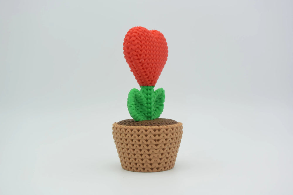 GESTRICKTES HERZGEWÄCHS IM TOPF (3 FILAMENTWECHSEL)
